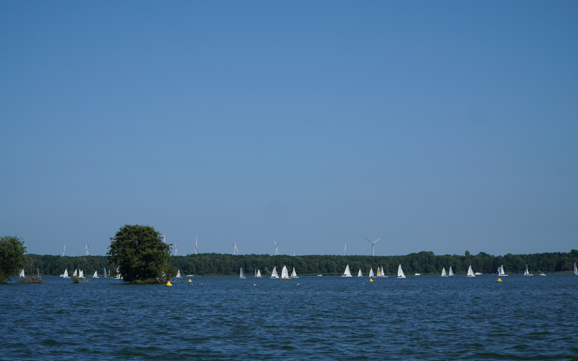 Schwielochsee Pokalregatta